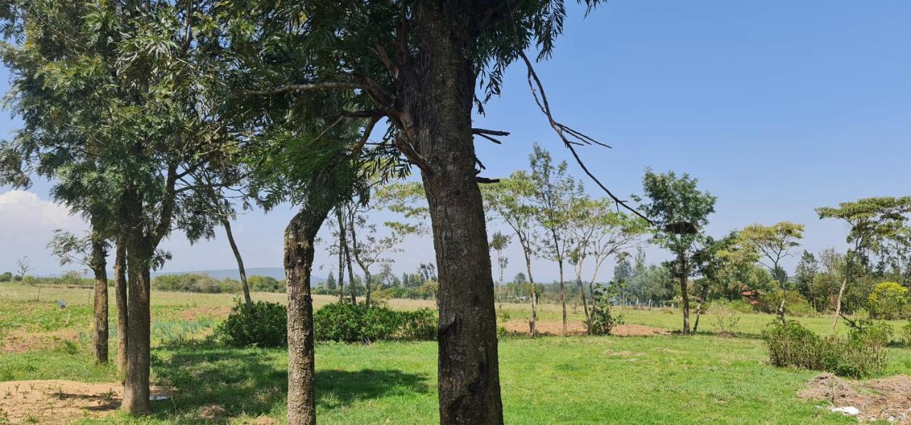 Le Tai Village Resort Near Solio Game Reserve Mweiga Exterior foto